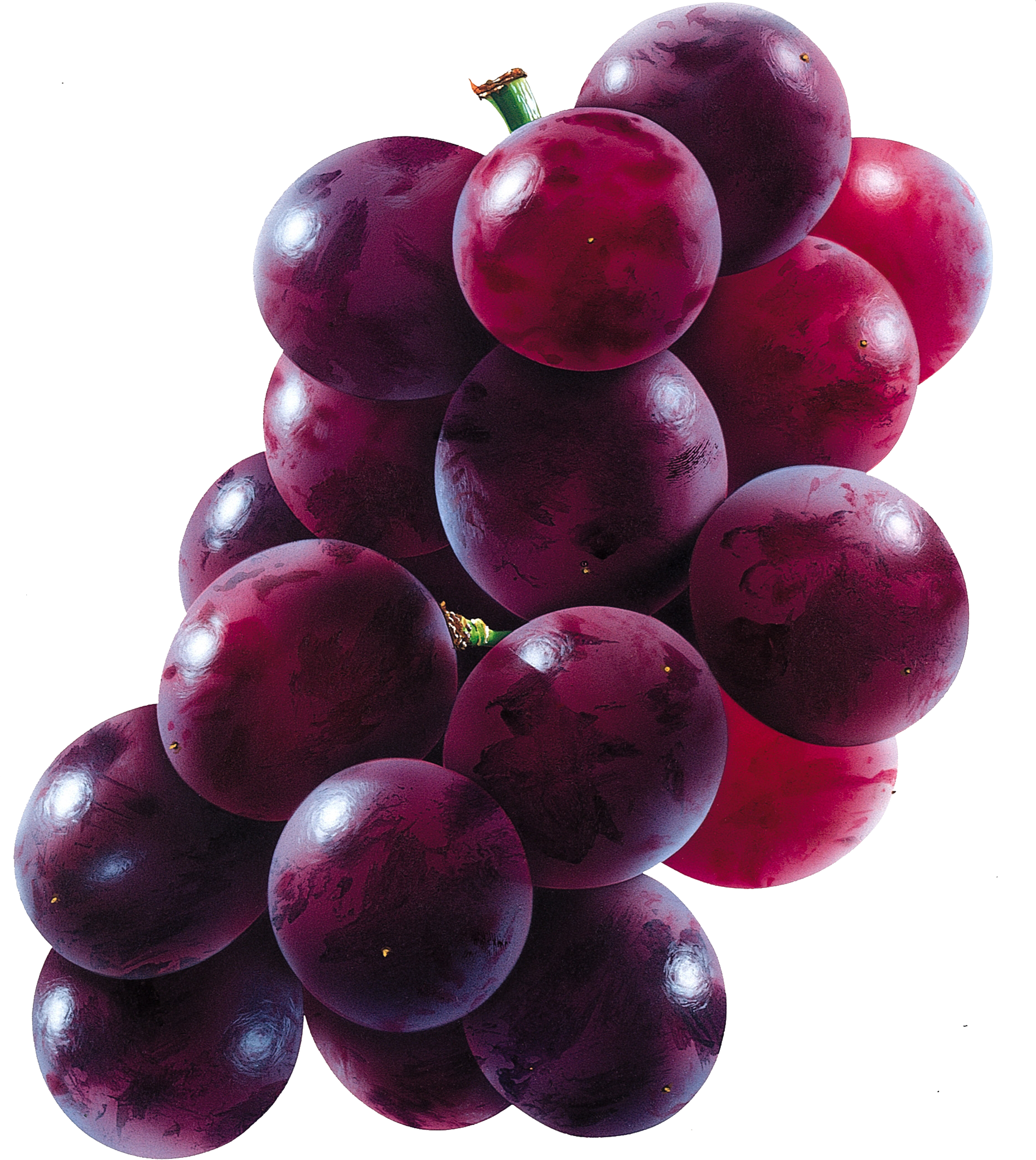 HD green grapes png picture m