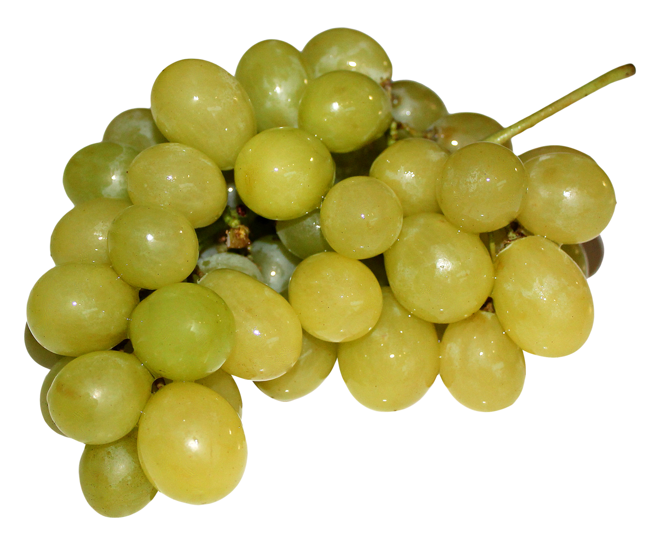 Grapes Png Hdpng.com 1373 - Grapes, Transparent background PNG HD thumbnail