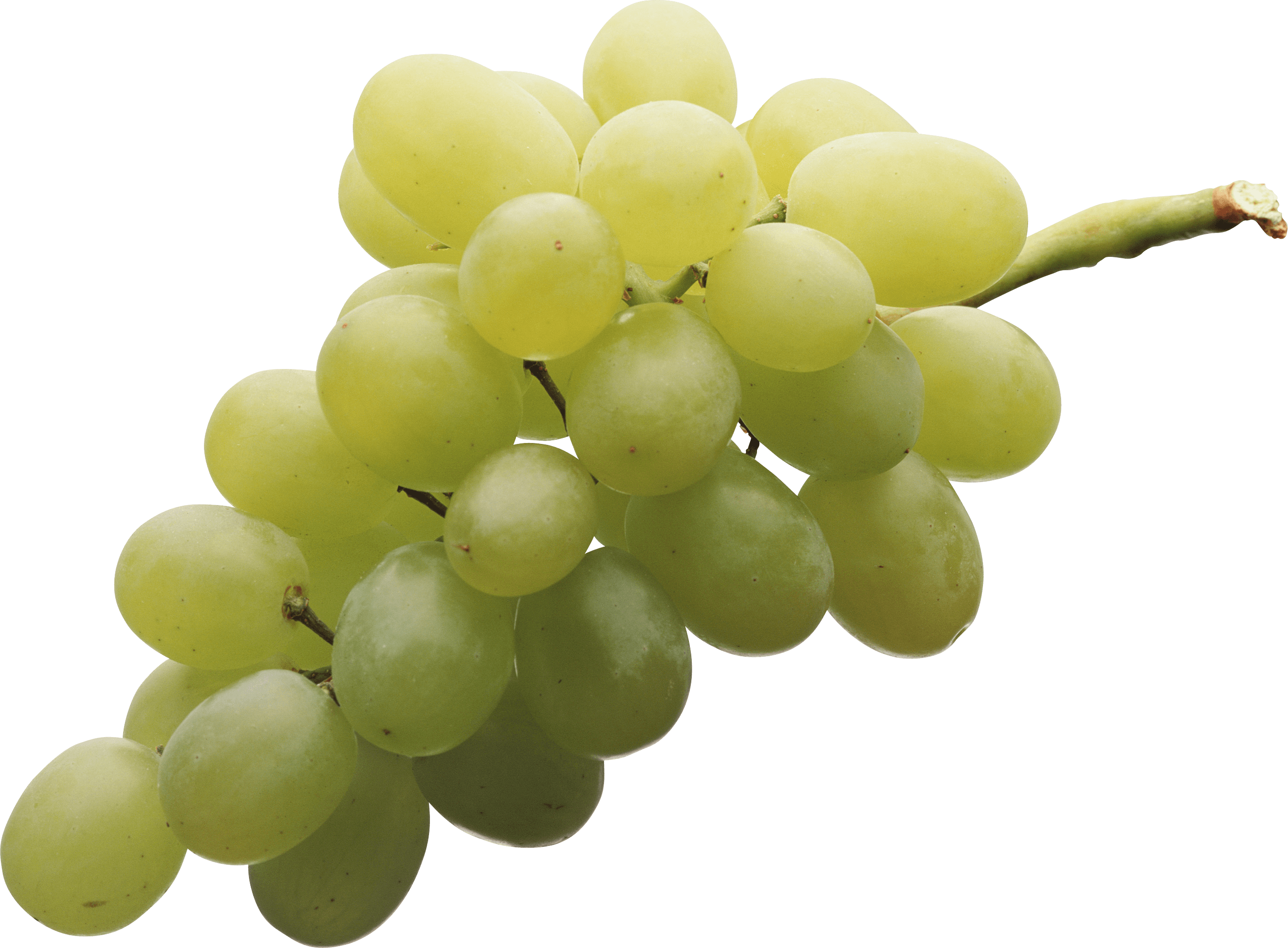 Green Grape Png Image Png Image - Grapes, Transparent background PNG HD thumbnail