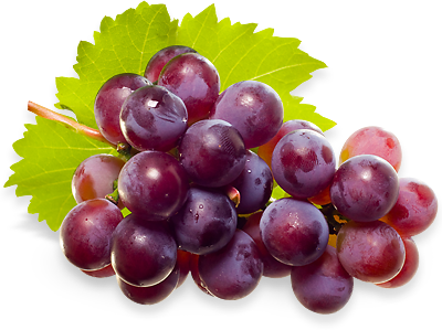 Home U003Eu003E Fruits U003Eu003E Grapes U003E Jind Grapes Png Image - Grapes, Transparent background PNG HD thumbnail