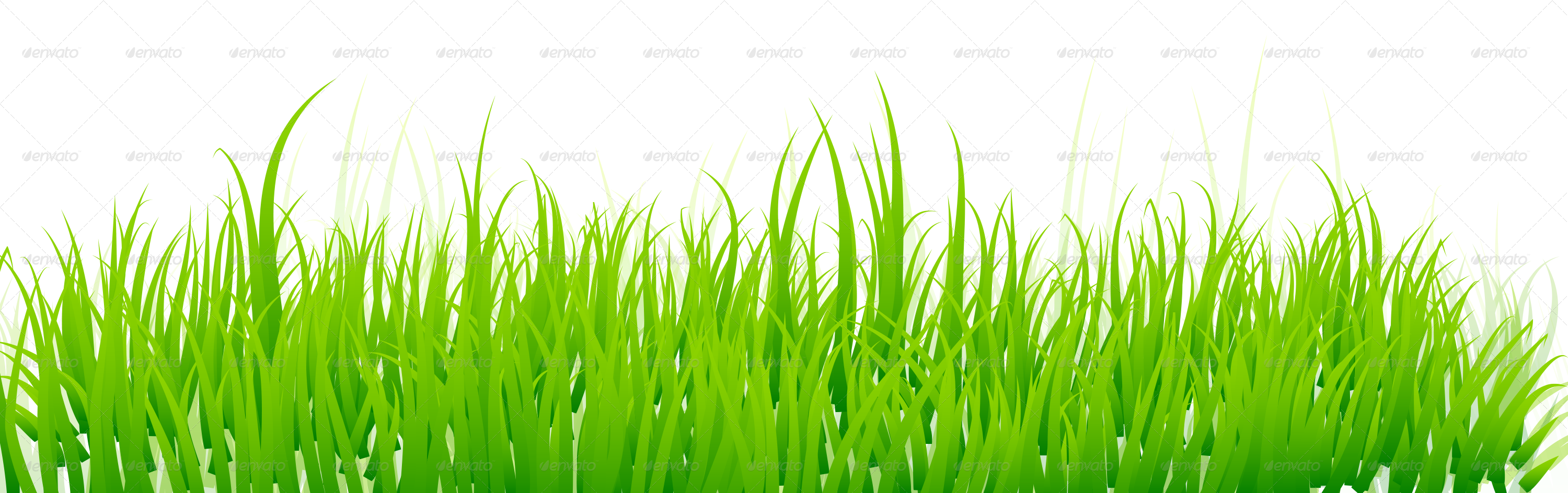 Underbrush, Grass, Green, Cre