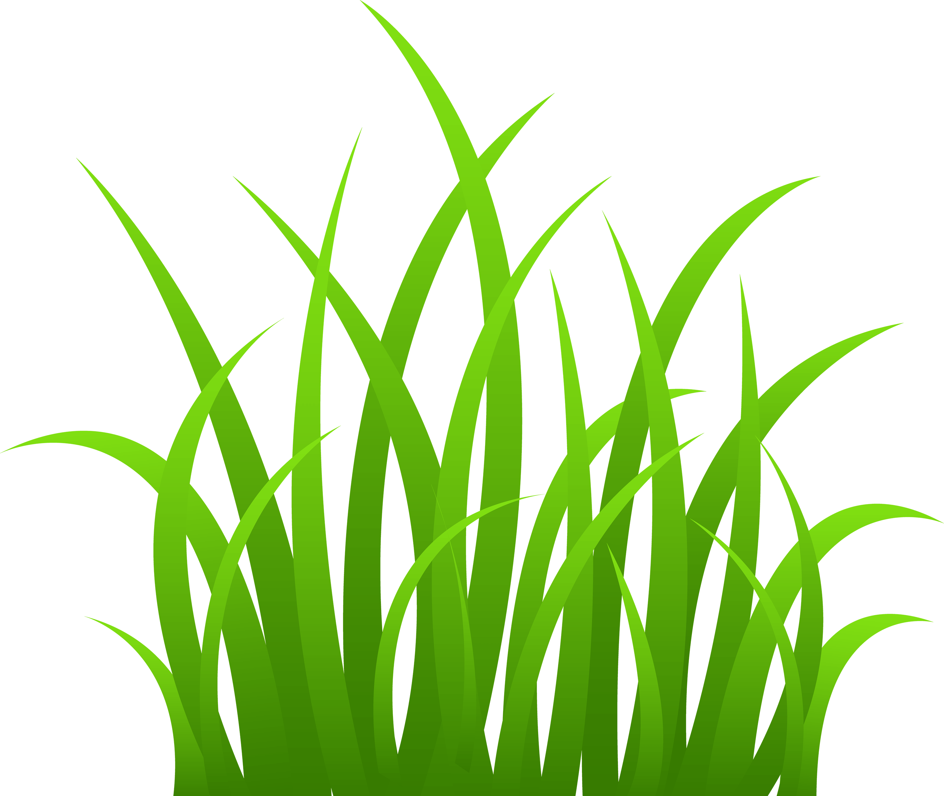 Grass Png Image Green Grass Png Picture Png Image - Grass, Transparent background PNG HD thumbnail