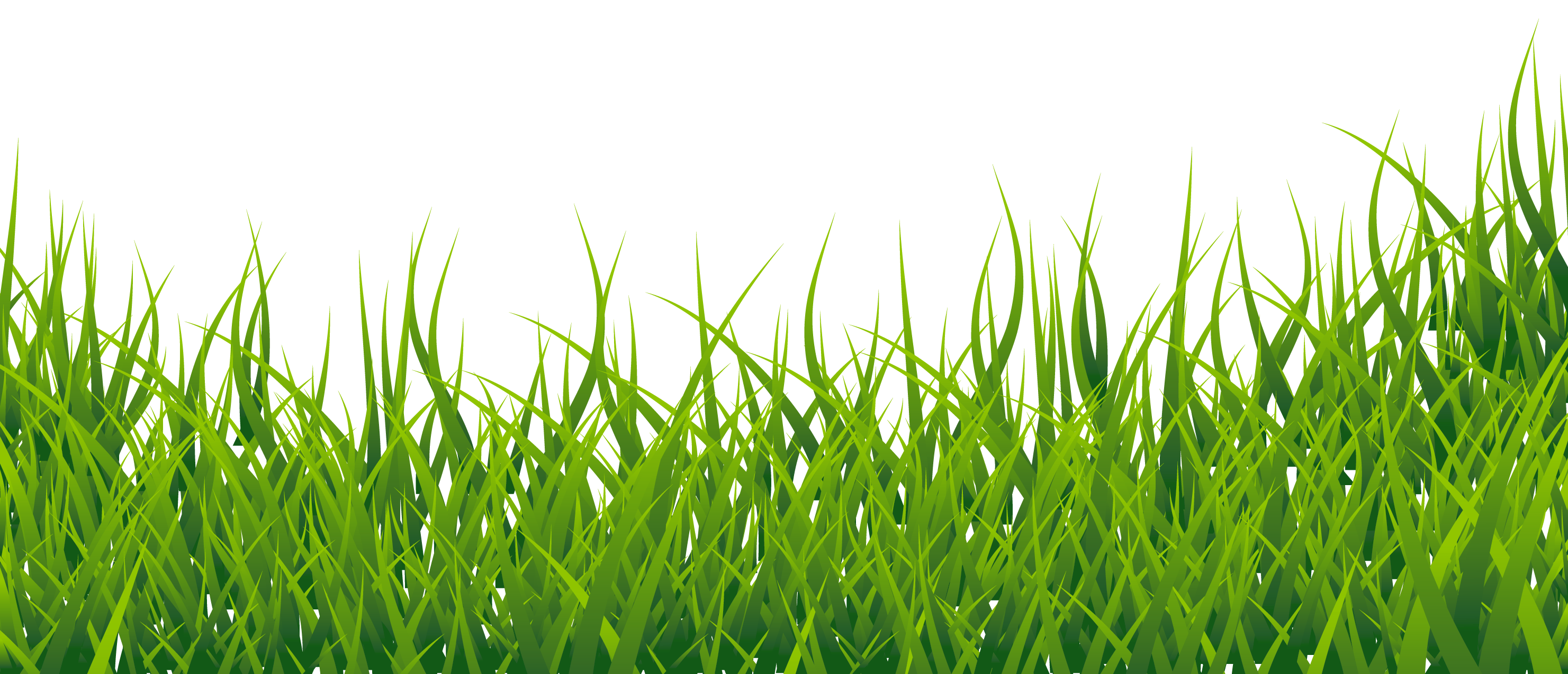 Pin Wallpaper Clipart Grass #8 - Grass, Transparent background PNG HD thumbnail