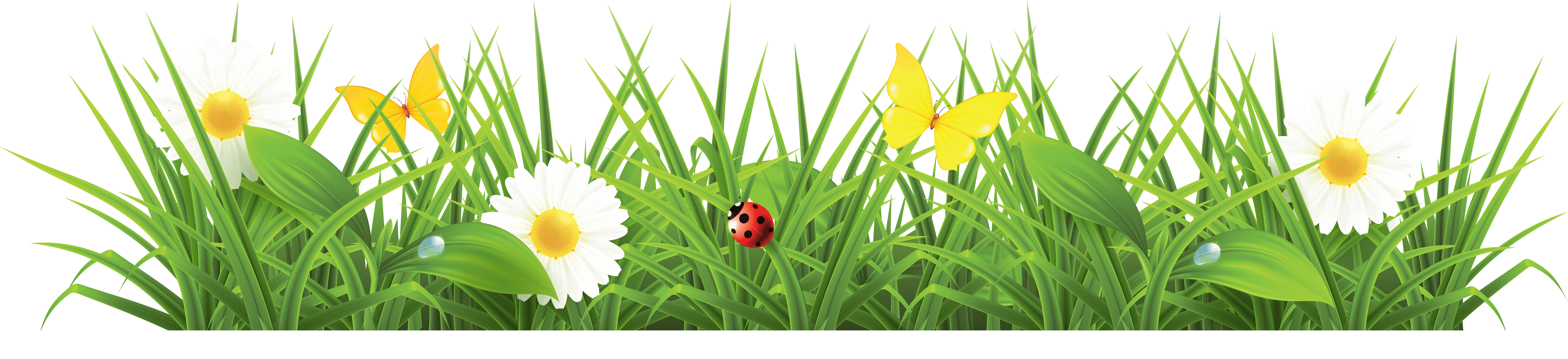 Grass PNG - Download Image - G