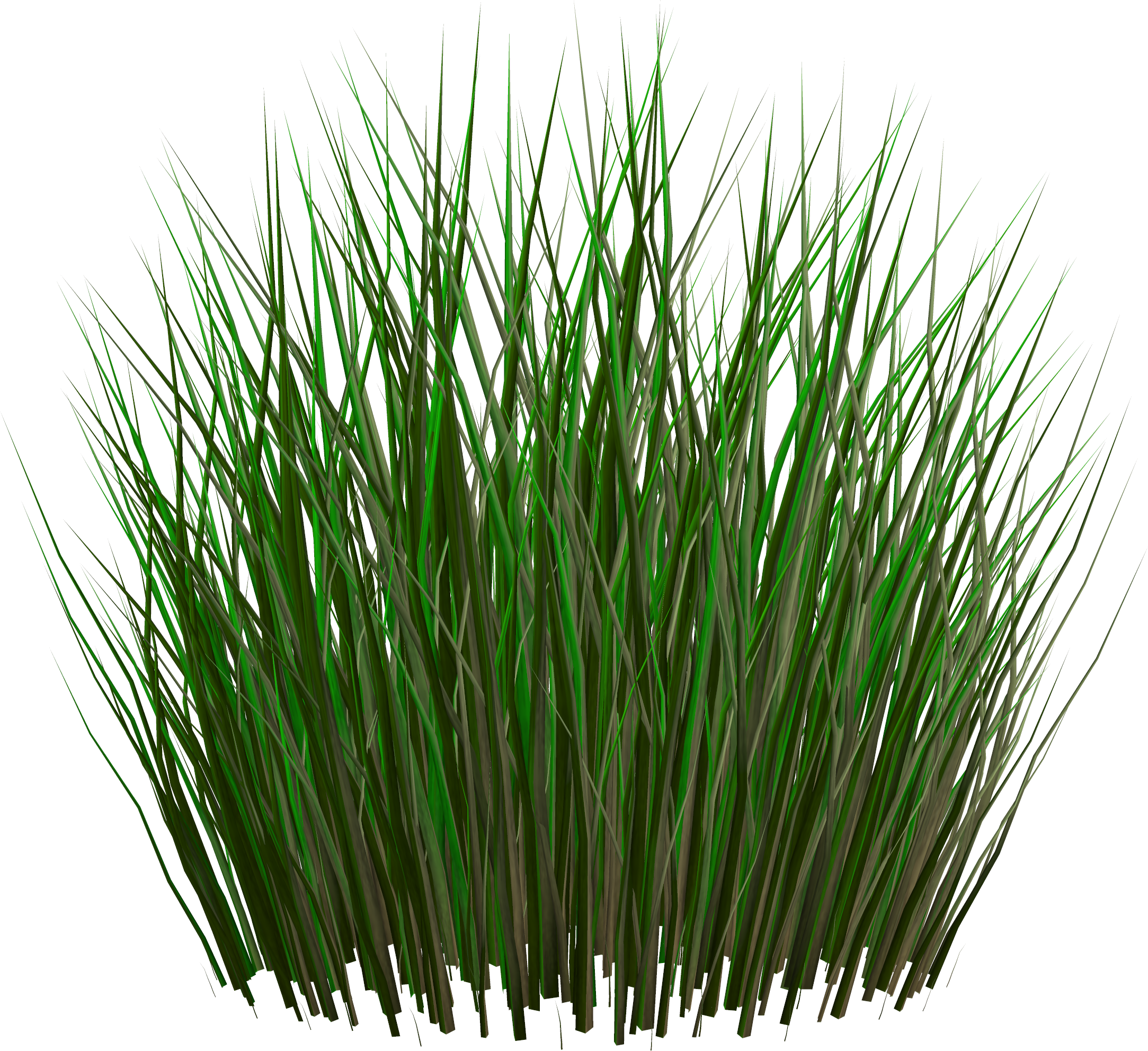 Grass PNG - Grass Image, Green