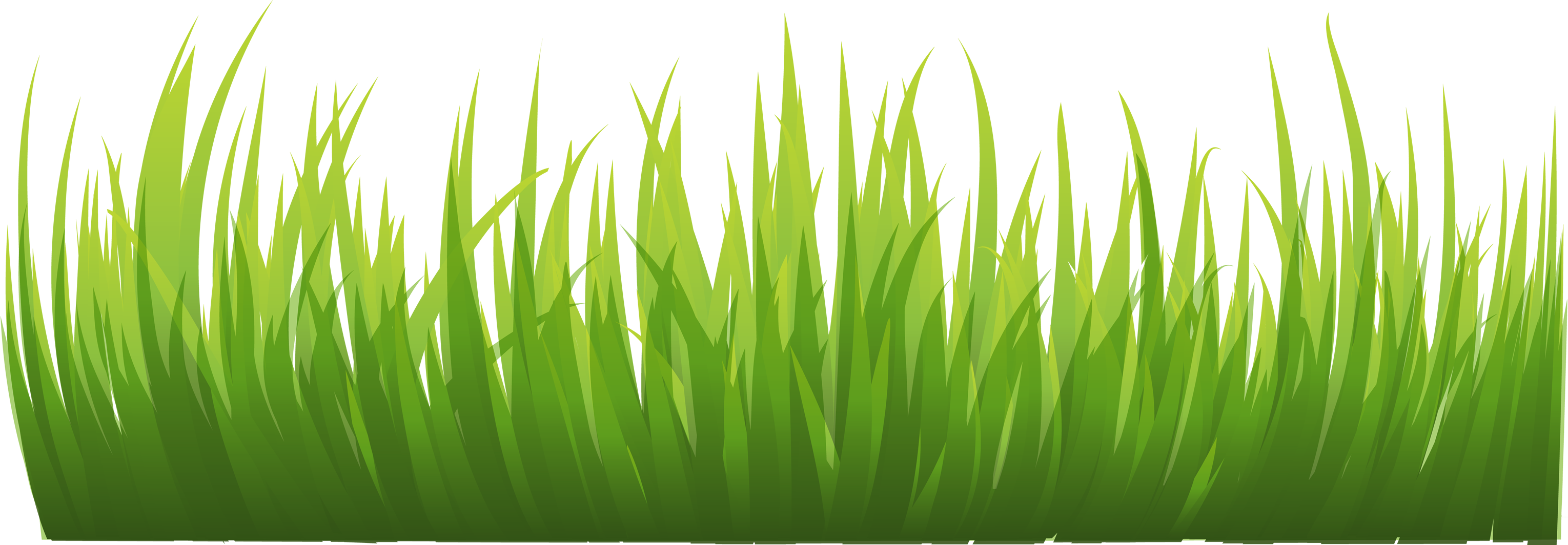Grass Png Image, Green Grass Png Picture - Grasses, Transparent background PNG HD thumbnail