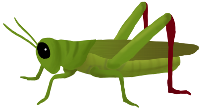 Grasshopper Png Clipart - Grasshopper, Transparent background PNG HD thumbnail