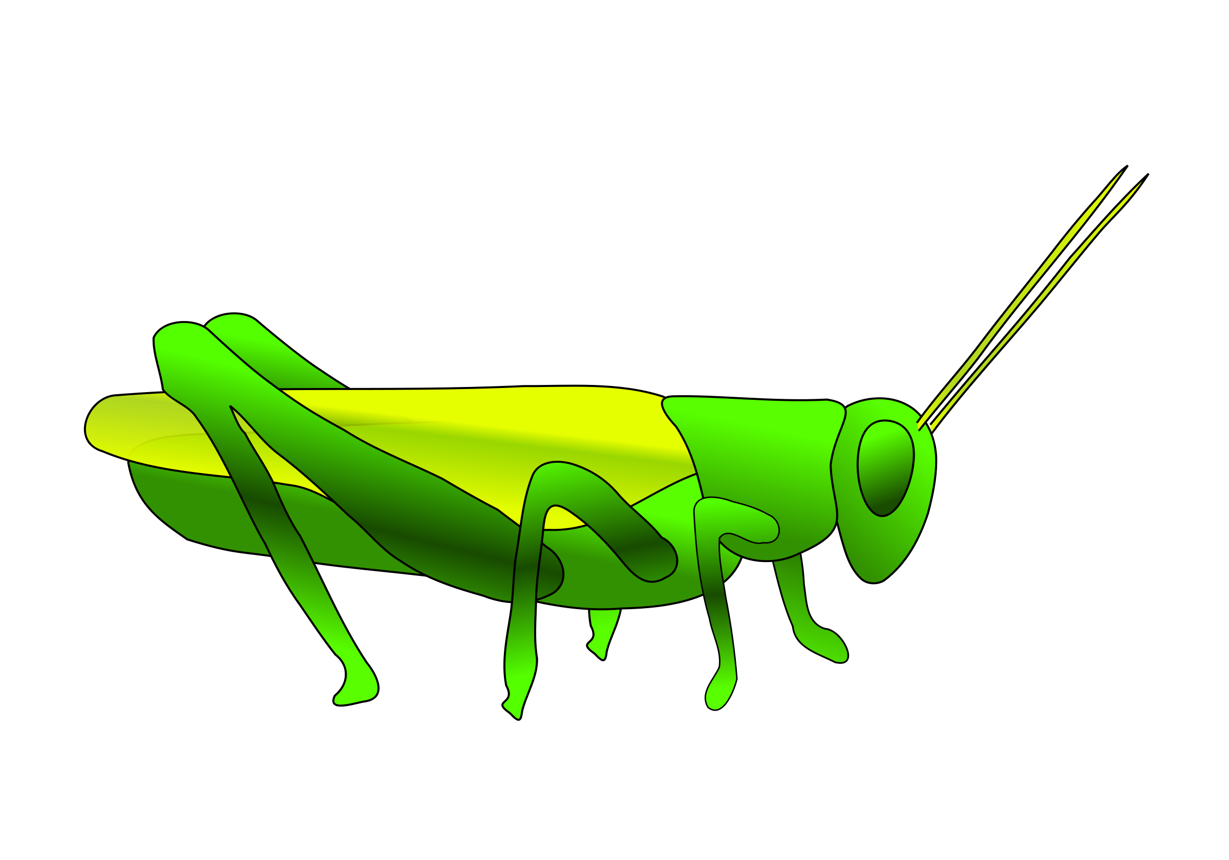 Grasshopper Png Hd - Grasshopper, Transparent background PNG HD thumbnail