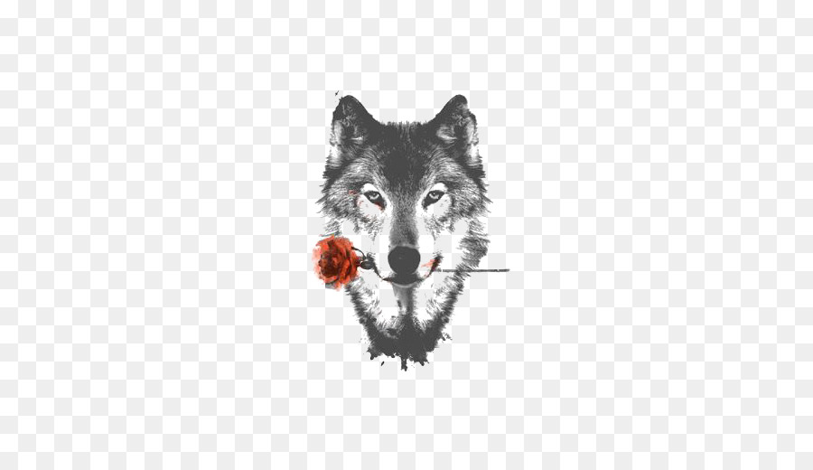 Arctic Wolf Htc Desire Hd High Definition Video Display Resolution Wallpaper   Sketch Gray Wolf - Gray Wolf, Transparent background PNG HD thumbnail