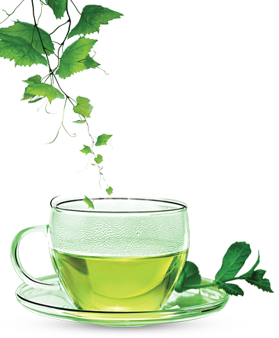 Green Tea PNG-PlusPNG.com-428
