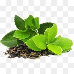 Green Tea PNG Clipart