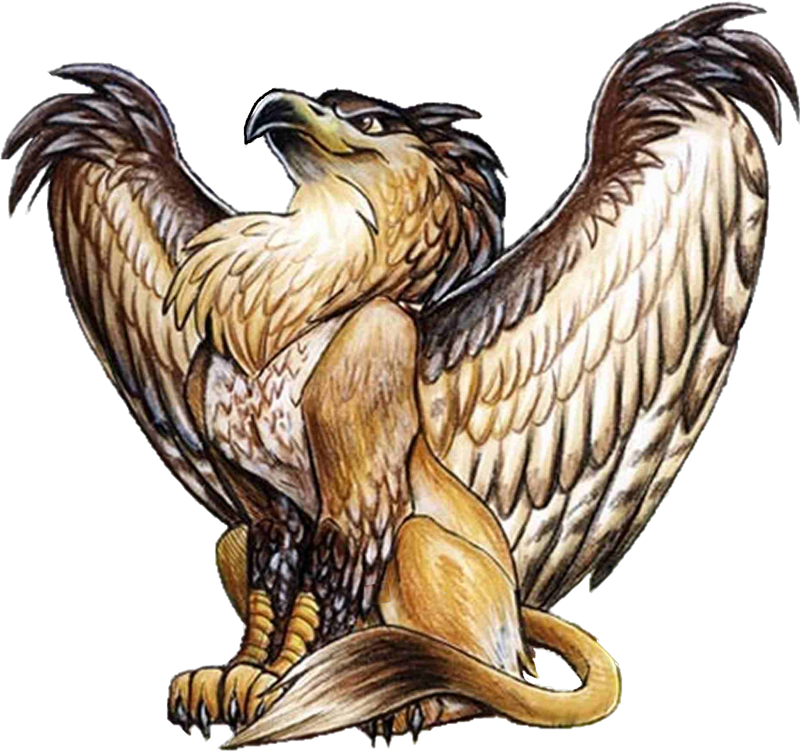 Griffin Definition   Google Search - Griffin, Transparent background PNG HD thumbnail