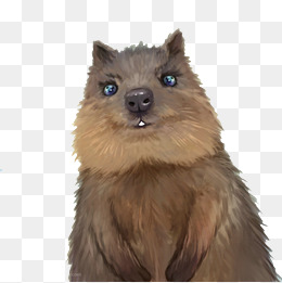 Groundhog Painted, Animal, Groundhog, Lovely Png Image And Clipart - Groundhog Images, Transparent background PNG HD thumbnail