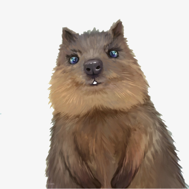 Groundhog Painted, Animal, Groundhog, Lovely Free Png Image - Groundhog, Transparent background PNG HD thumbnail