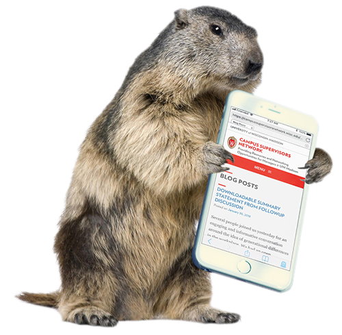 Groundhog With Phone In Hand Showing Csn Website - Groundhog, Transparent background PNG HD thumbnail