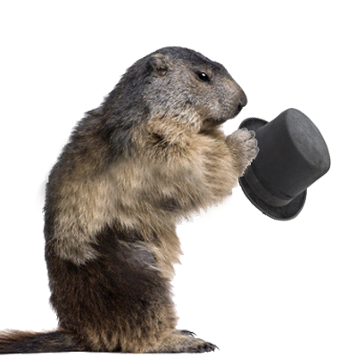 Our Hdpng.com  - Groundhog, Transparent background PNG HD thumbnail