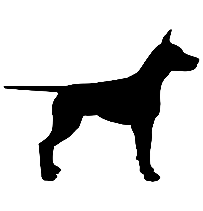 Dog Animal Silhouette Pet Black Design Symbol - Group Of Dogs Black And White, Transparent background PNG HD thumbnail
