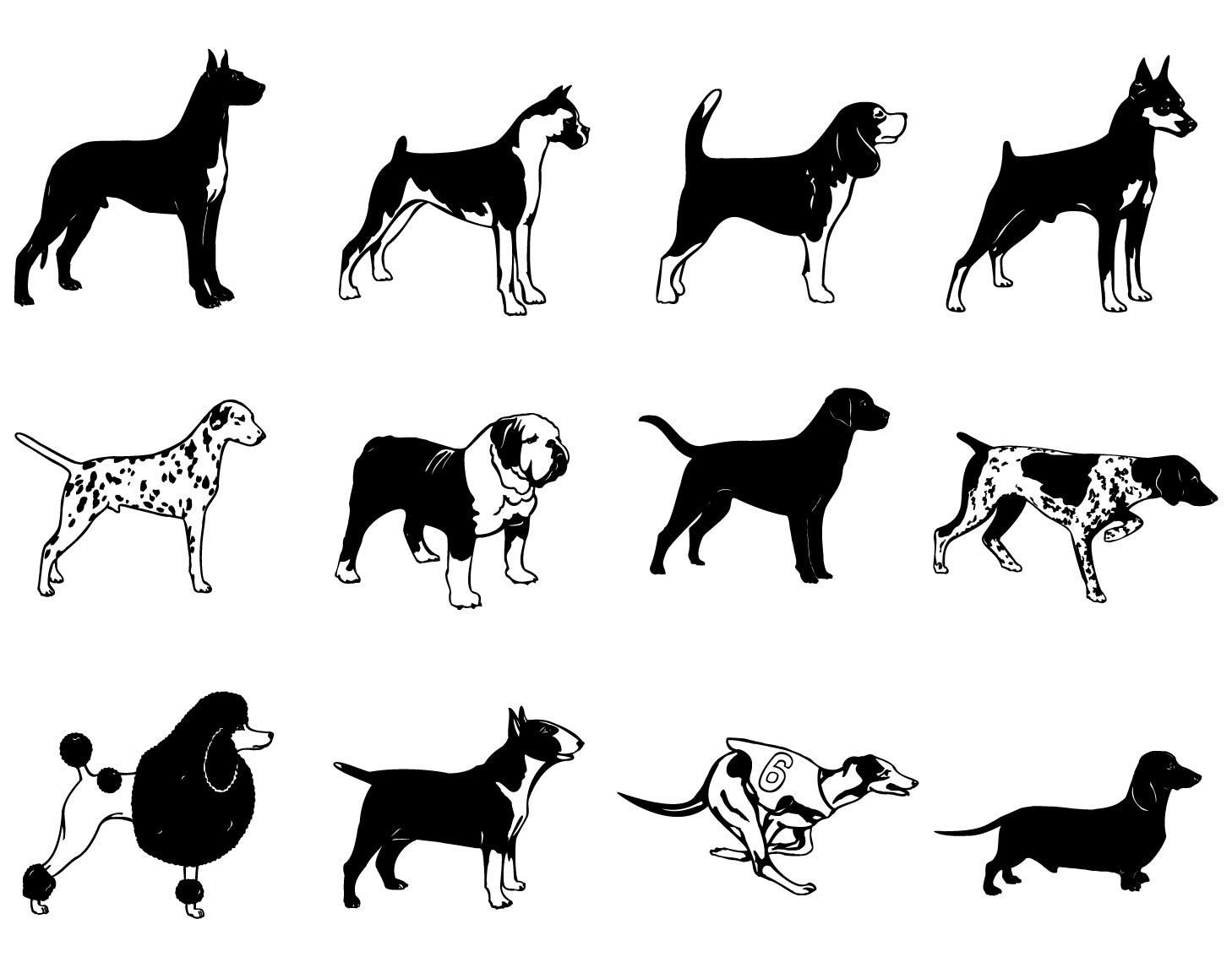 Image; User - Group Of Dogs Black And White, Transparent background PNG HD thumbnail