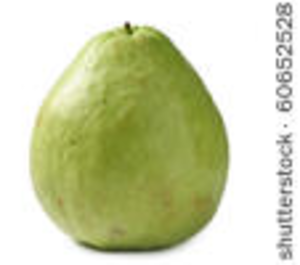 Guava Image - Guava, Transparent background PNG HD thumbnail