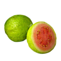 Guava Png Clipart Png Image - Guava, Transparent background PNG HD thumbnail