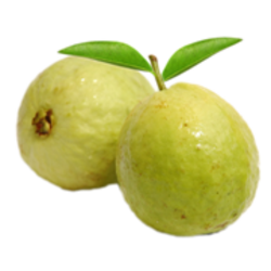 Guava Png Hd Png Image - Guava, Transparent background PNG HD thumbnail