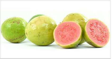 Mind Blowing Reasons Why Guava Is Truly The Ultimate Super Fruit U2013 Eat Healthy Plans - Guava, Transparent background PNG HD thumbnail