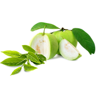 Similar Guava Png Image - Guava, Transparent background PNG HD thumbnail