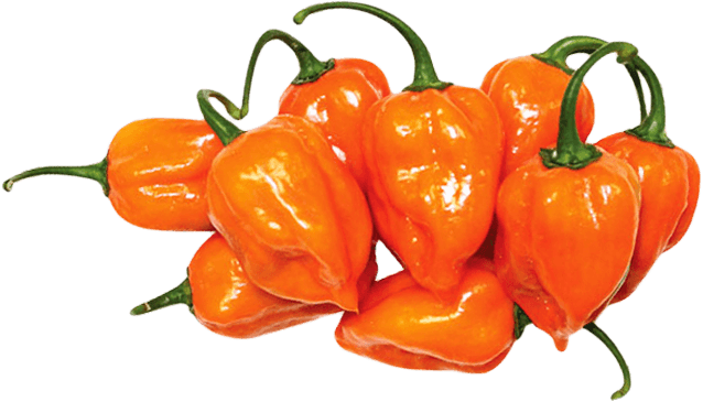 habanero-peppers-mix-1