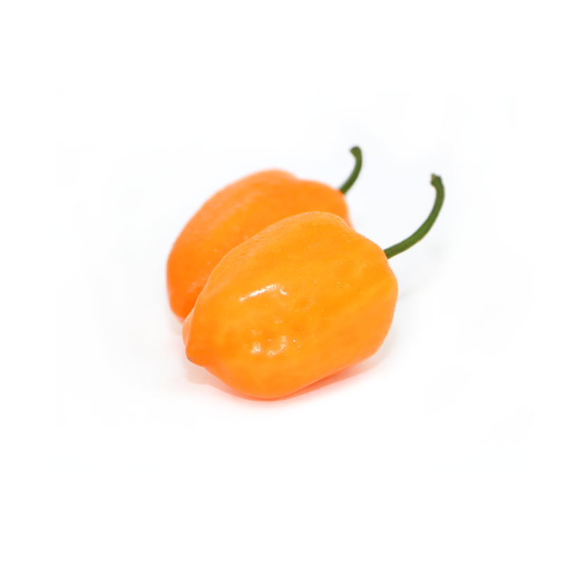 Orange Habanero Chile Peppers