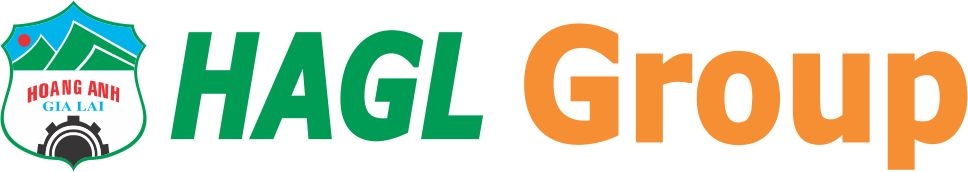 Logo of Hoang Anh Gia Lai FC