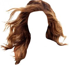 Hair   Google Search - Hair, Transparent background PNG HD thumbnail