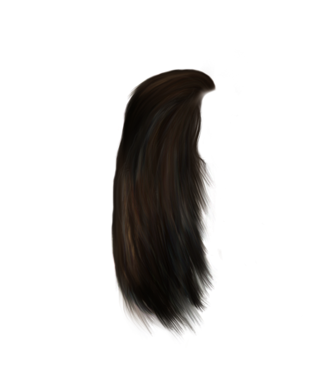 Hair PNG File