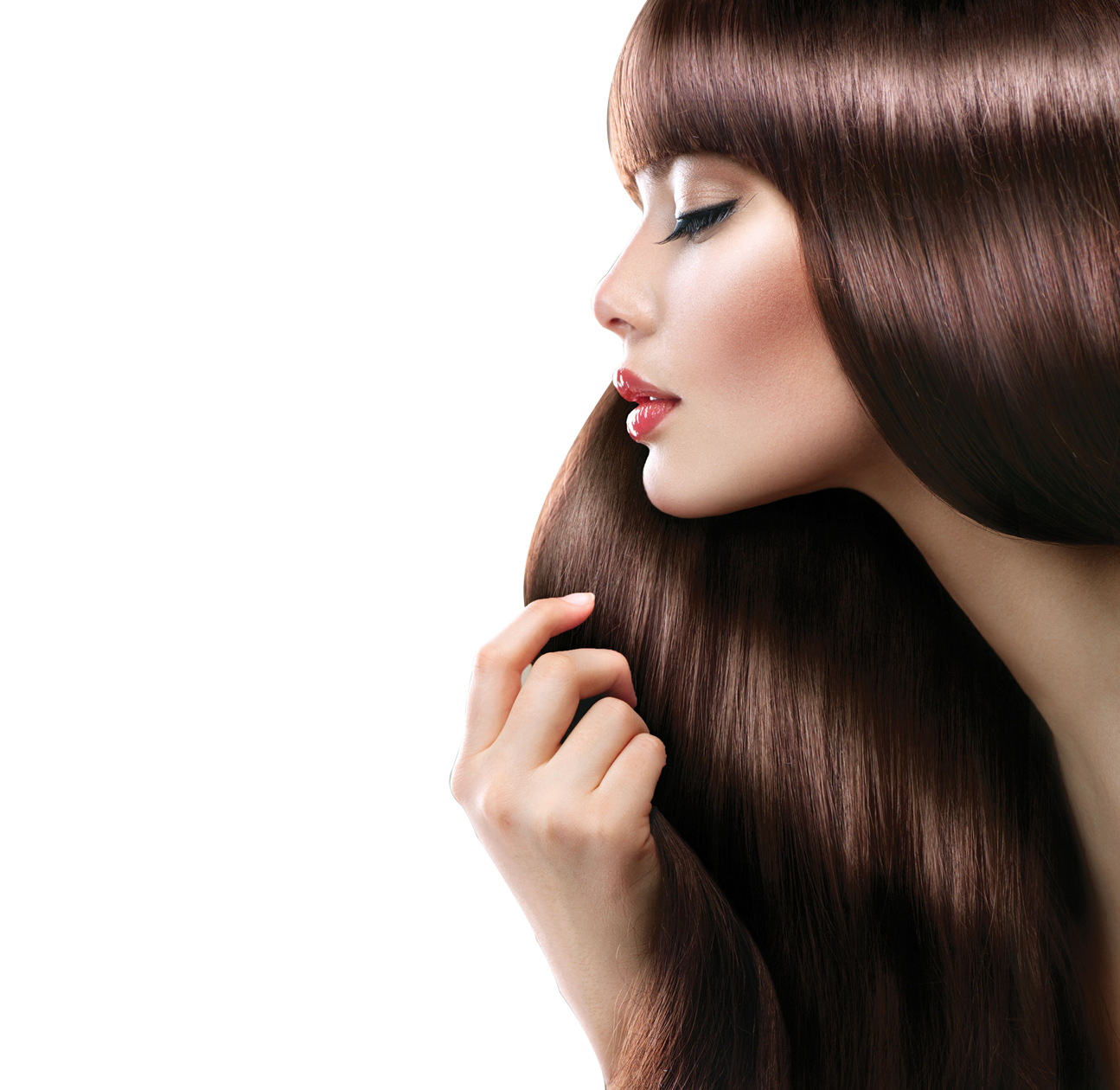 Hairdressing HD PNG-PlusPNG.c