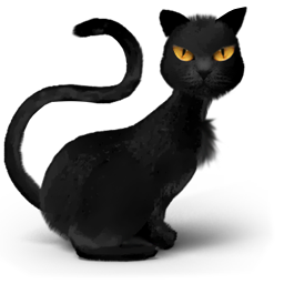Scary black cat