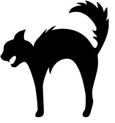 Halloween Cat   Pesquisa Google - Halloween Black Cats, Transparent background PNG HD thumbnail