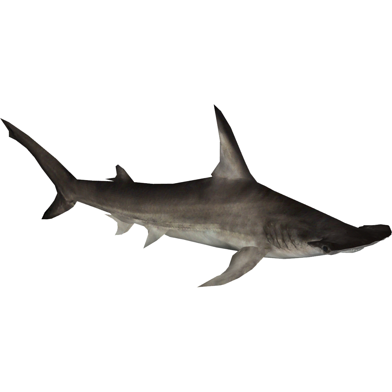 Great Hammerhead Shark (Zerosvalmont).png - Hammerhead Shark, Transparent background PNG HD thumbnail