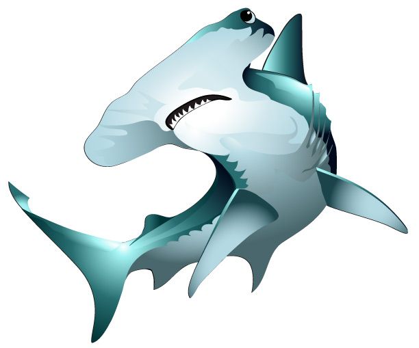 Hammerhead Clipart Mako Shark #2 - Hammerhead Shark, Transparent background PNG HD thumbnail