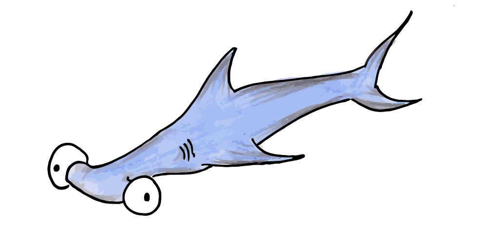 Hammerhead Shark - Hammerhead Shark, Transparent background PNG HD thumbnail