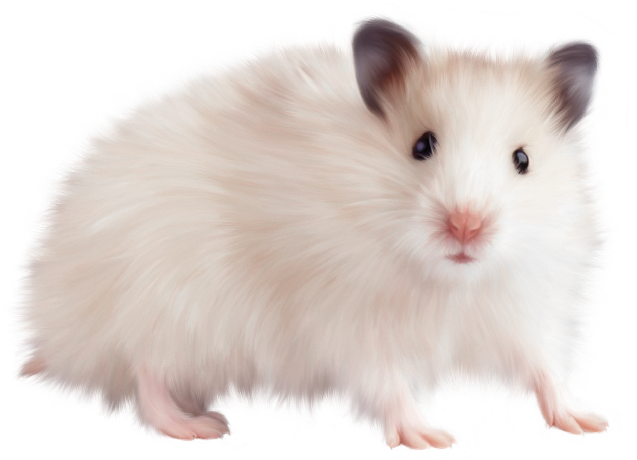 Mouse Animal Free Png Image - Hamster, Transparent background PNG HD thumbnail