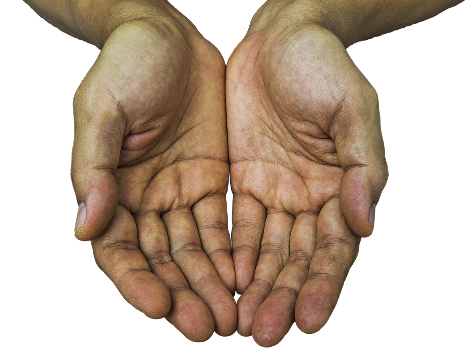 Receiving Hands Hands Receive Receiving Hold Palm - Hands, Transparent background PNG HD thumbnail