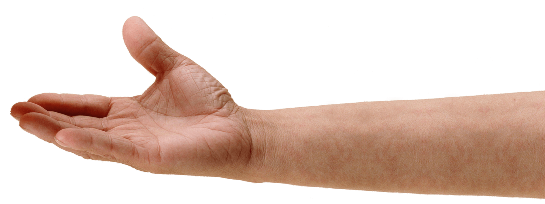 Palm hands PNG, hand image fr
