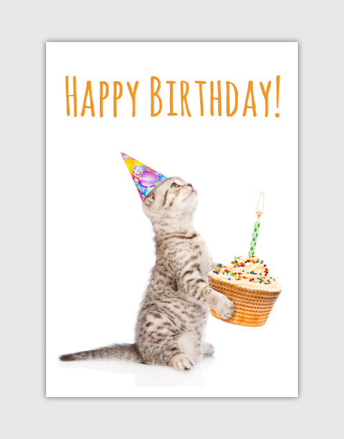 About - Happy Birthday With Cats, Transparent background PNG HD thumbnail