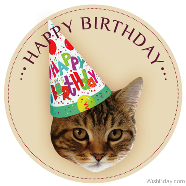Happy Birthday Image 2 - Happy Birthday With Cats, Transparent background PNG HD thumbnail