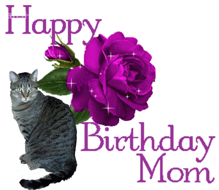 Happy Birthday Cat GIF - Happ