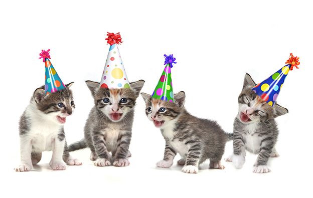 Happy Blog Birthday To Us! Celebrating Our First Year. - Happy Birthday With Cats, Transparent background PNG HD thumbnail
