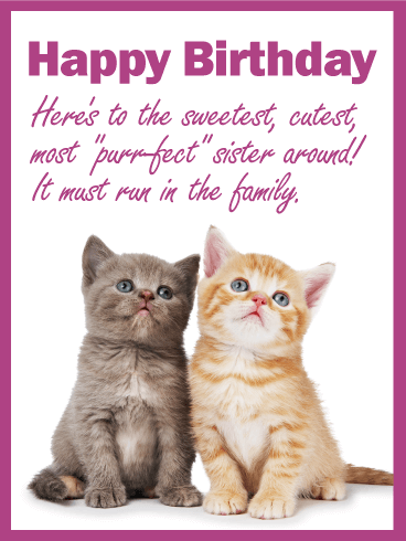 To My Purrfect Sister   Happy Birthday Card - Happy Birthday With Cats, Transparent background PNG HD thumbnail
