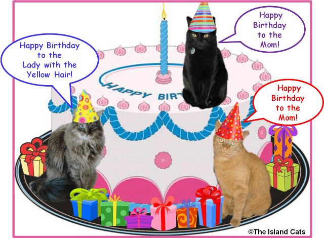 Todayu0027S The Momu0027S Birthday! Letu0027S Seeu2026Last Year She Was A Bazillion Years Old, So This Year She Must Be A Gazillion. - Happy Birthday With Cats, Transparent background PNG HD thumbnail