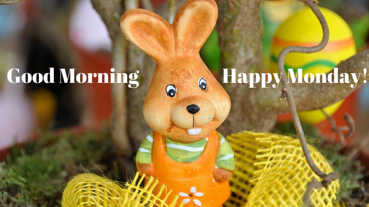Happy Monday Good Morning Image For Whatsapp - Happy Monday, Transparent background PNG HD thumbnail