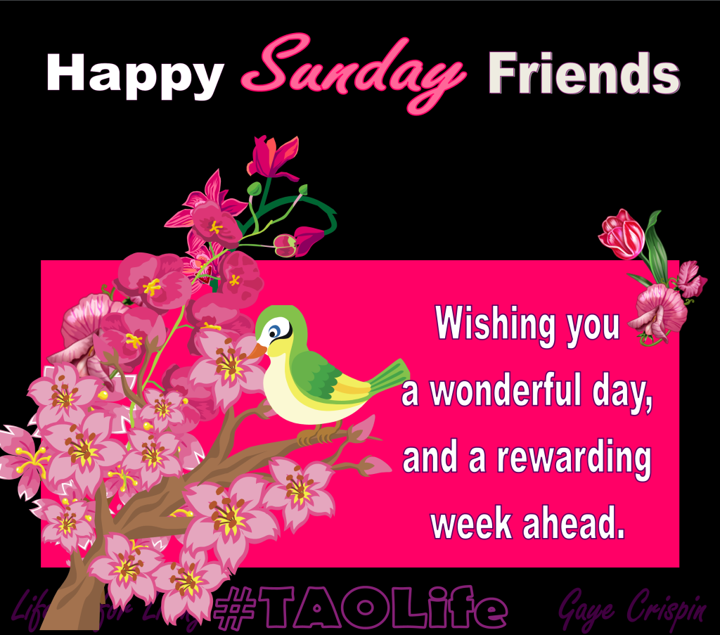 Happy Sunday Friends Pictures, Photos, And Images For Facebook, Tumblr, Pinterest, - Happy Monday, Transparent background PNG HD thumbnail