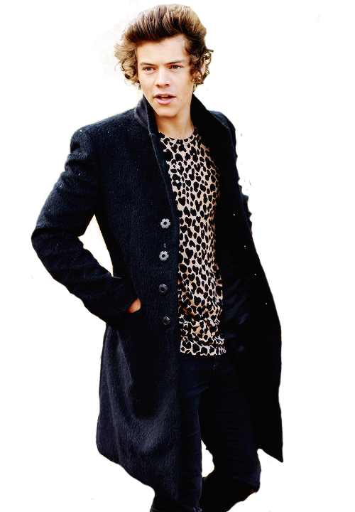 Harry Styles Png By Griz2012 Hdpng.com  - Harry Styles, Transparent background PNG HD thumbnail